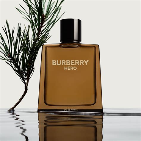 burberry hero 2024|Burberry signatures for men.